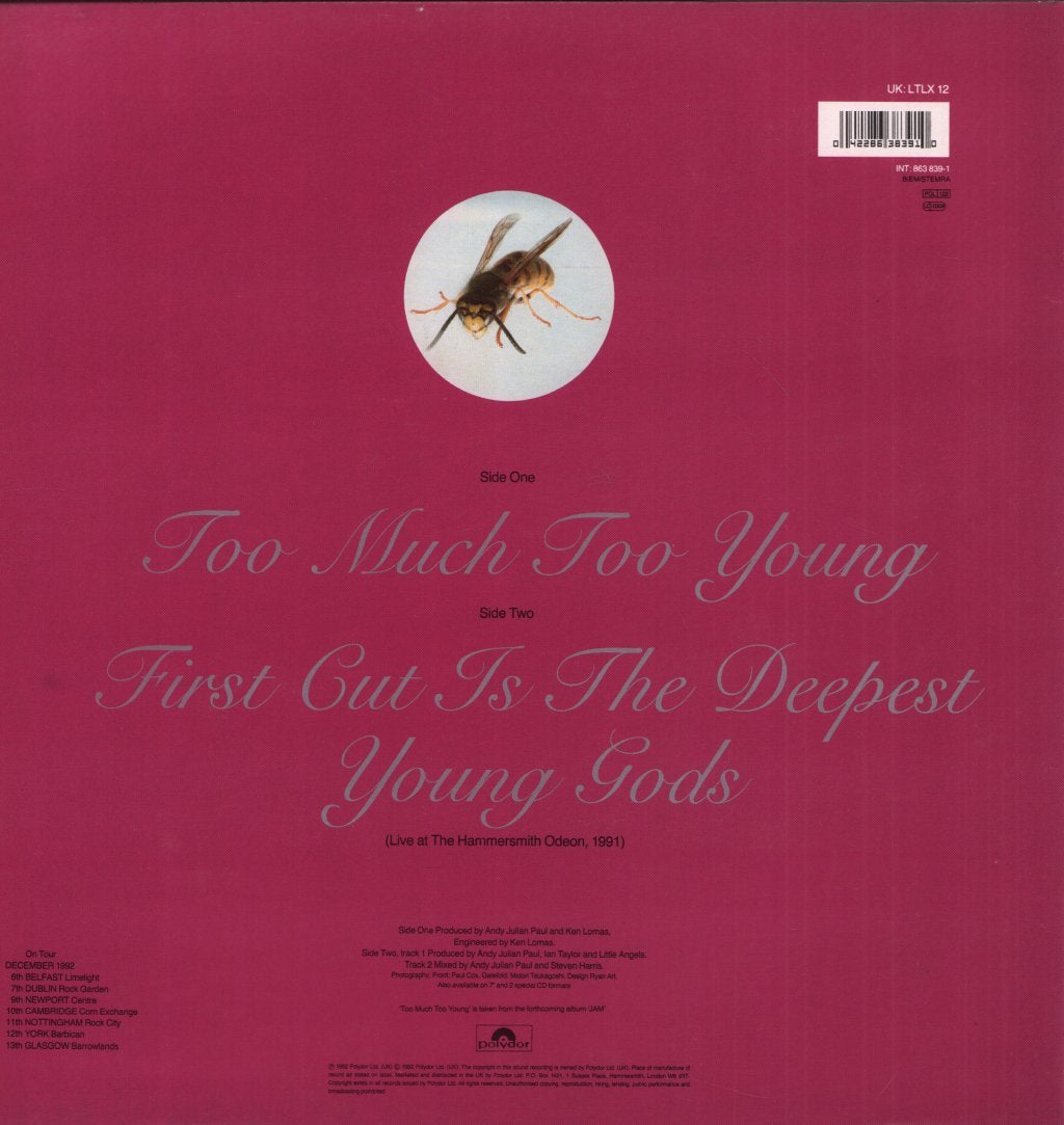 Little Angels - Too Much Too Young - 12 Inch