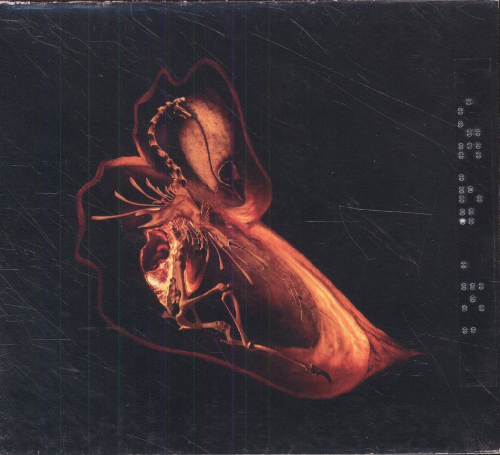 Bola - Gnayse - Cd