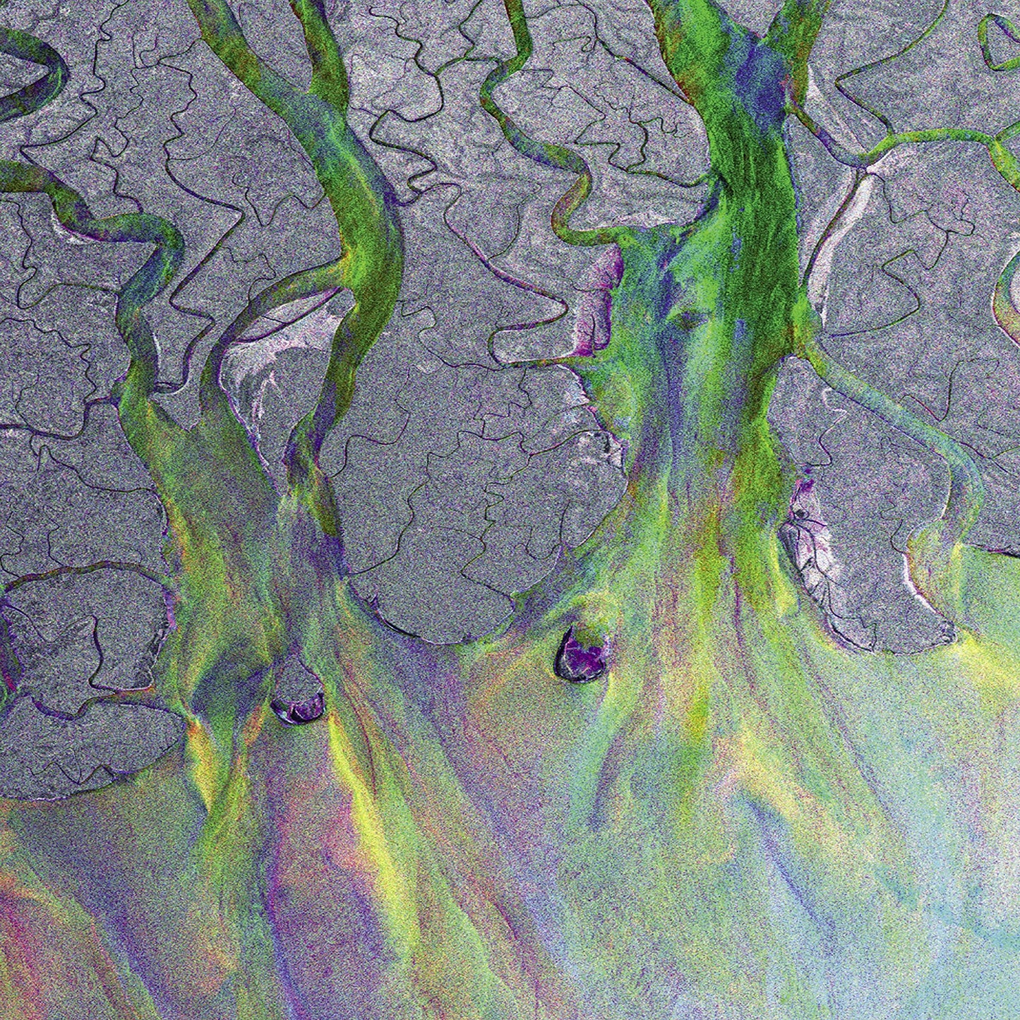 Alt-J - An Awesome Wave - Cd