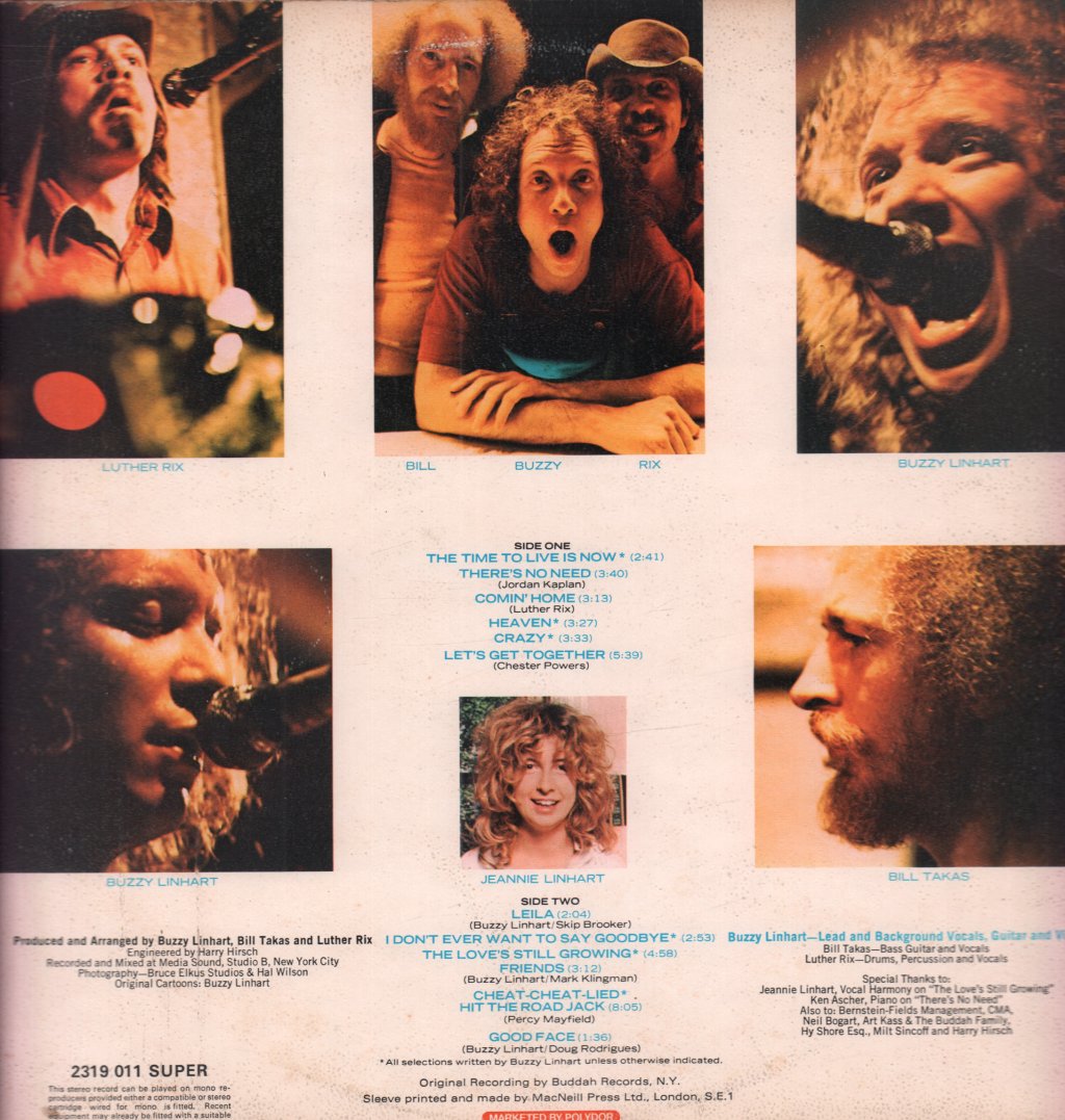 Buzzy Linhart - Time To Live Is Now - Lp
