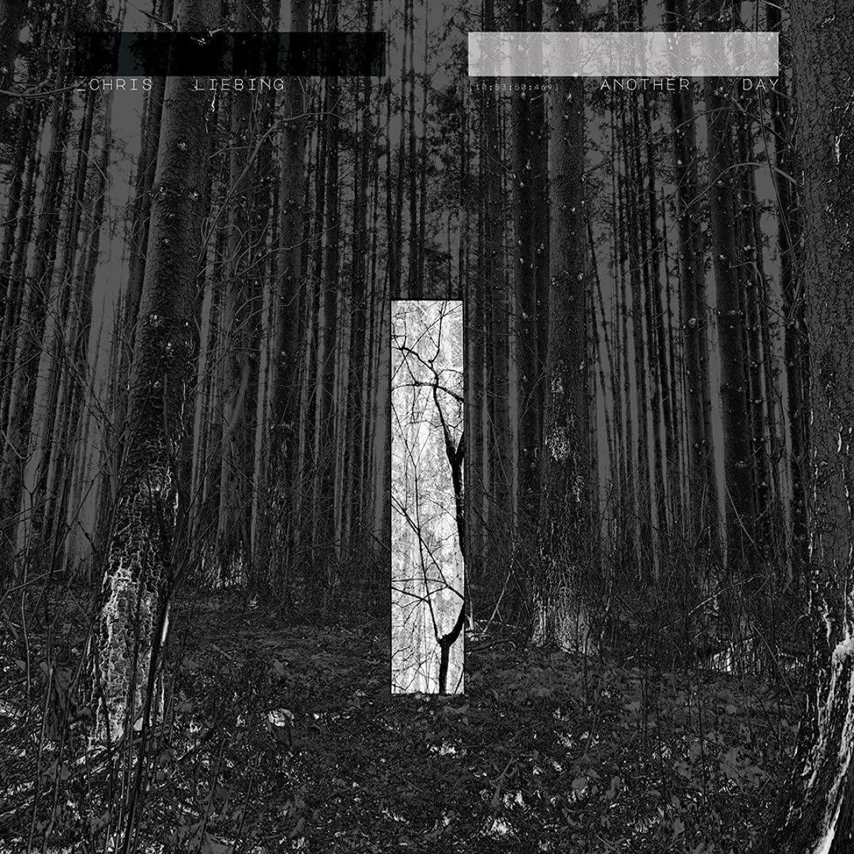 Chris Liebing - Another Day - Double Lp
