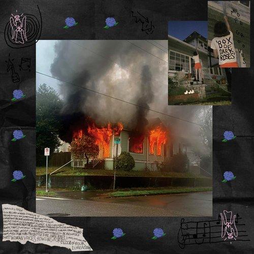 Mope Grooves - Box of Dark Roses - Double Lp
