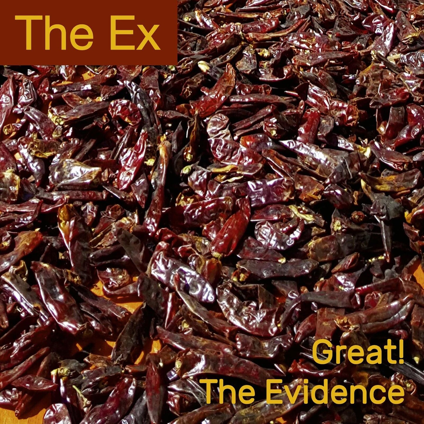 Ex - Great! / the Evidence - 7 Inch
