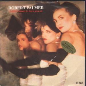 Robert Palmer - I Didn't Mean To Turn You On - 7 Inch