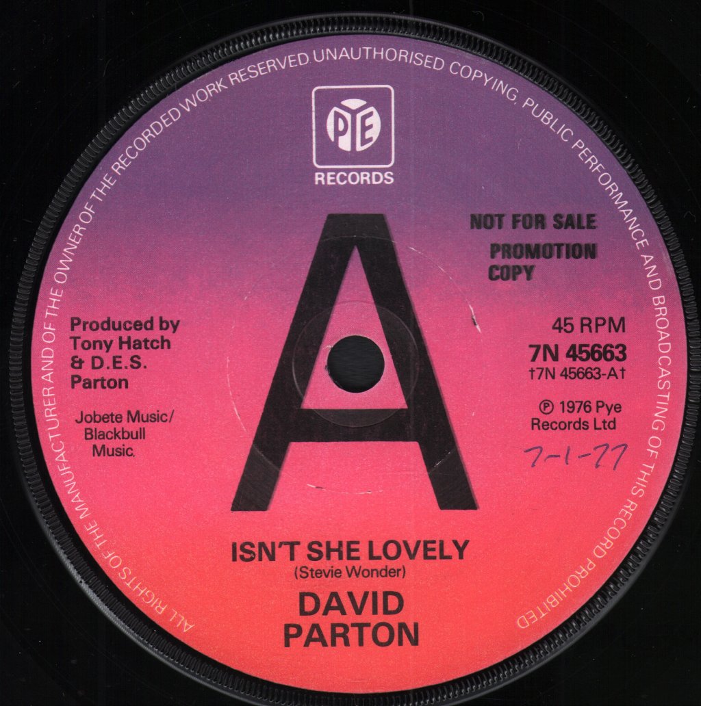 David Parton - Isn't She Lovely - 7 Inch