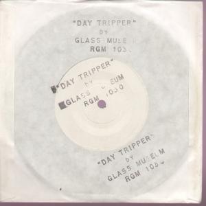 Glass Museum - Daytripper - 7 Inch