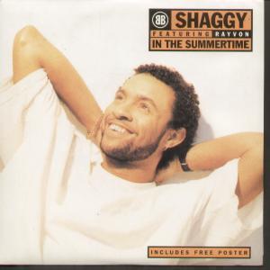 Shaggy - In The Summertime - 7 Inch