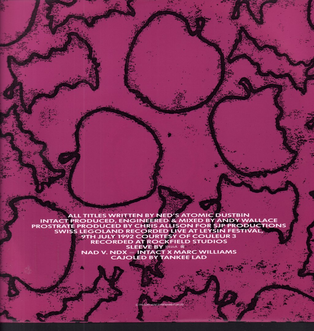 Ned's Atomic Dustbin - Intact - 12 Inch
