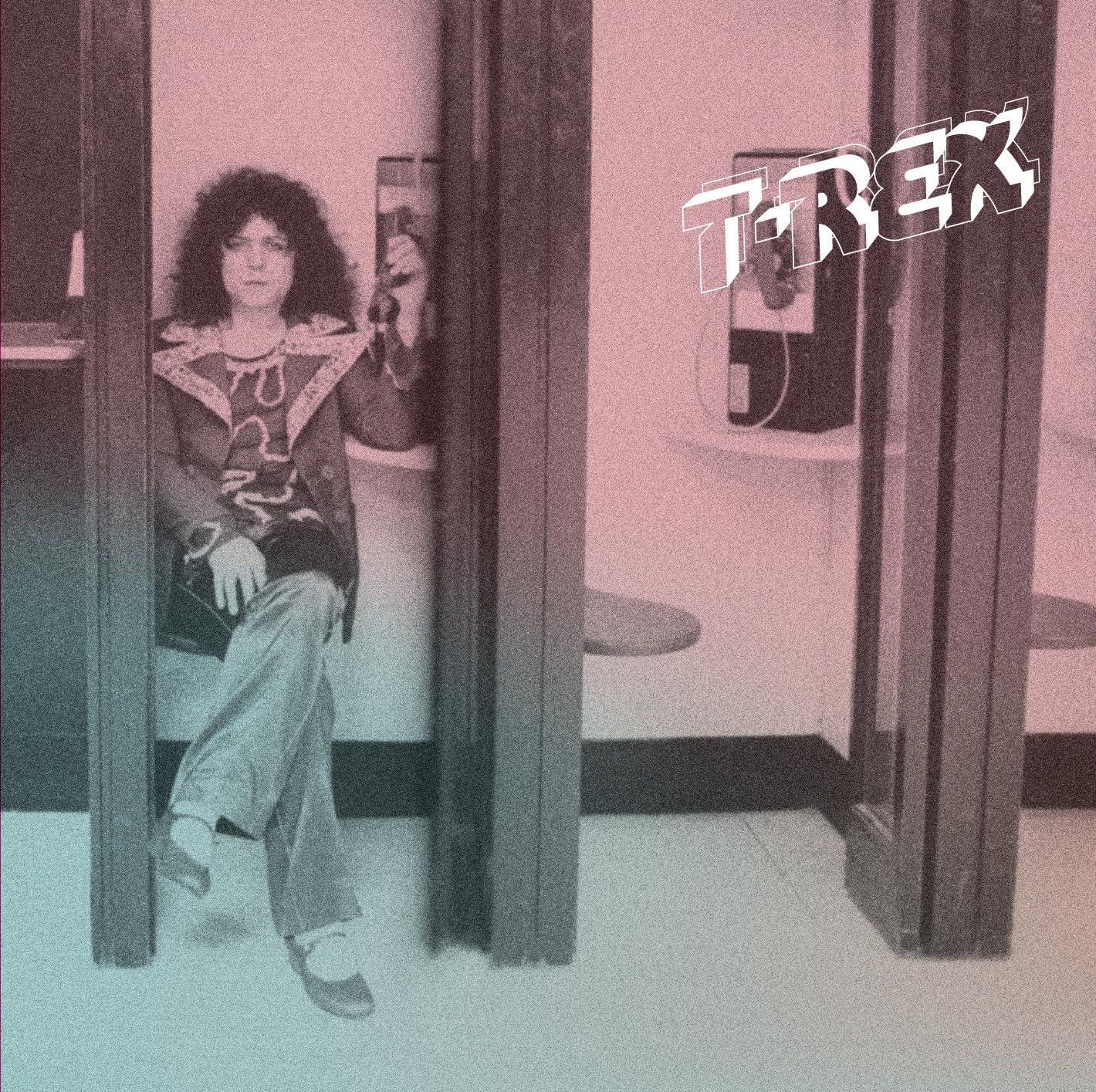 T Rex - Molly Mouse Dream Talk - Lp