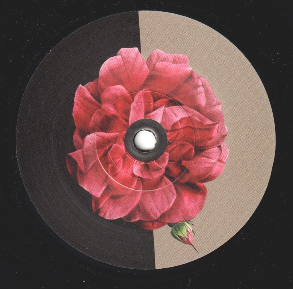 Tracey Thorn - Molly Drake Songs - 7 Inch