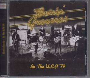 Flamin' Groovies - In The Usa 79 - Cd