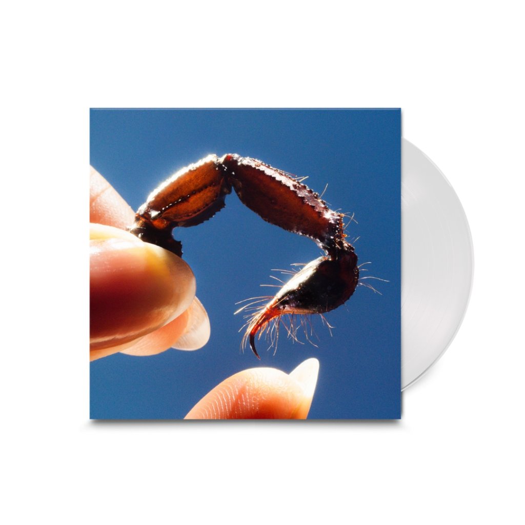 Squid - Cowards - Lp