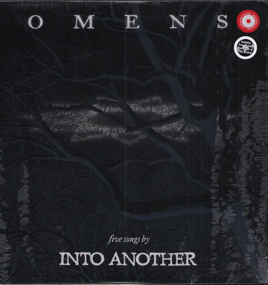 Into Another - Omens - 12 Inch