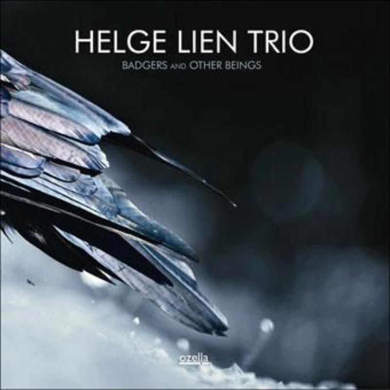 Helge Lien Trio - Badgers and Other Beings - Cd