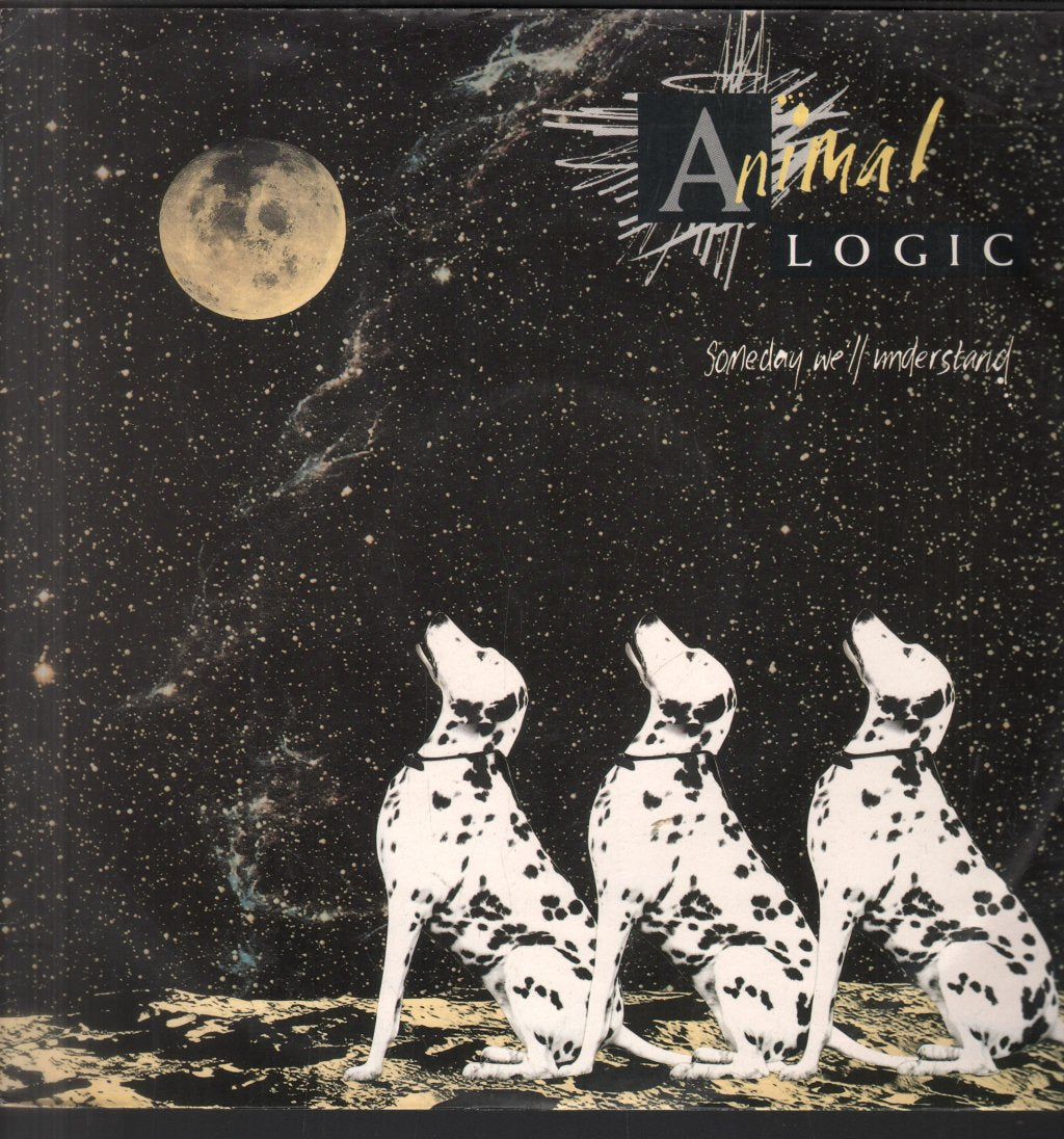 Animal Logic - Someday We'll Understand - 12 Inch