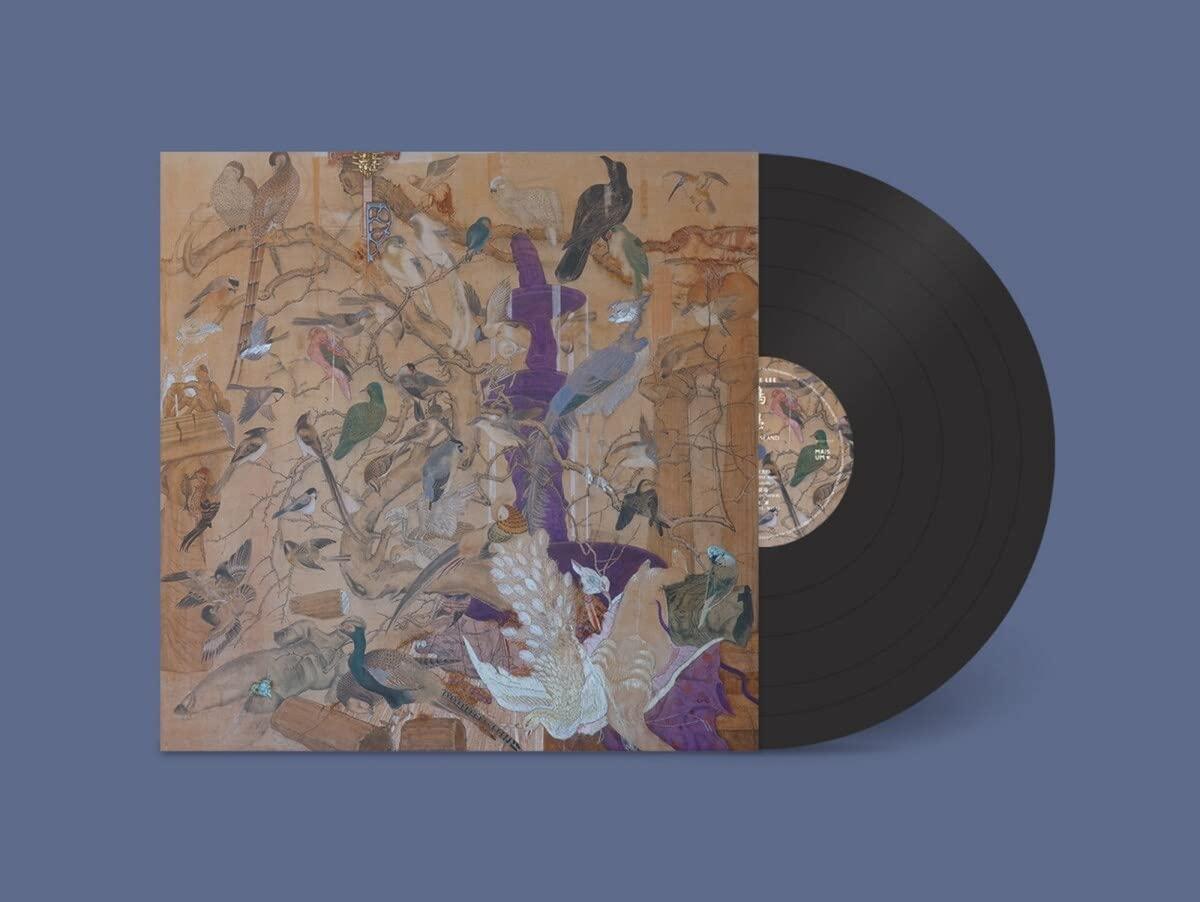 Howie Lee - Birdy Island - Lp