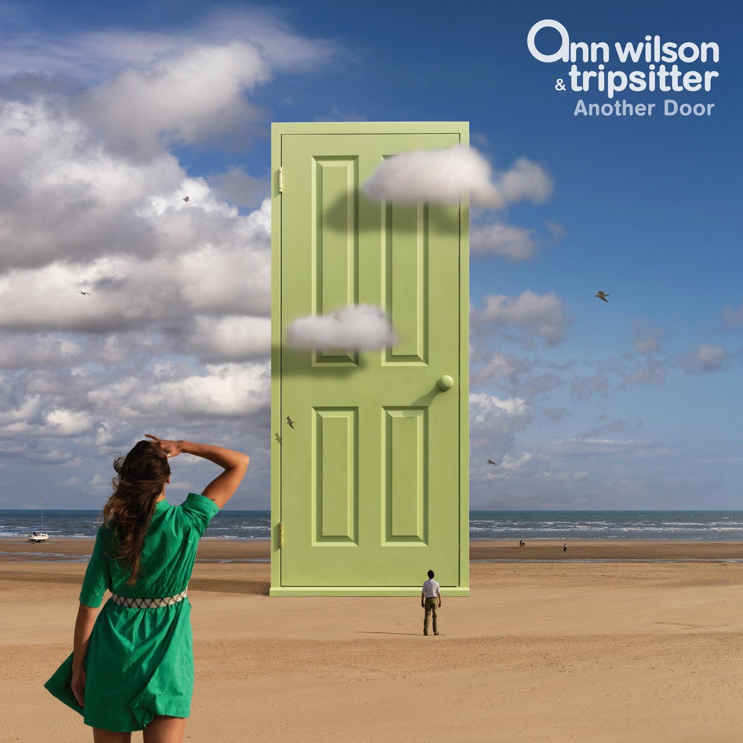 Ann Wilson & Tripsitter - Another Door - Cd