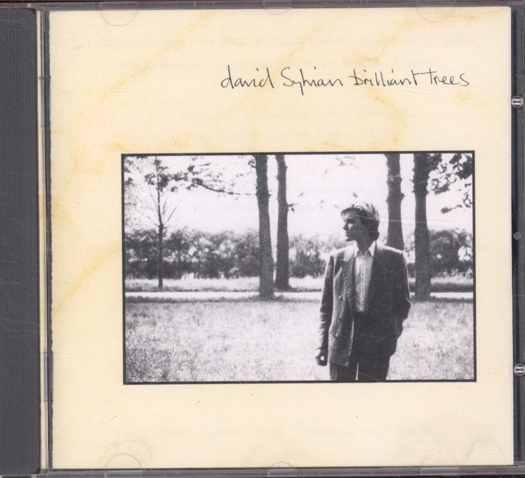 David Sylvian - Brilliant Trees - Cd