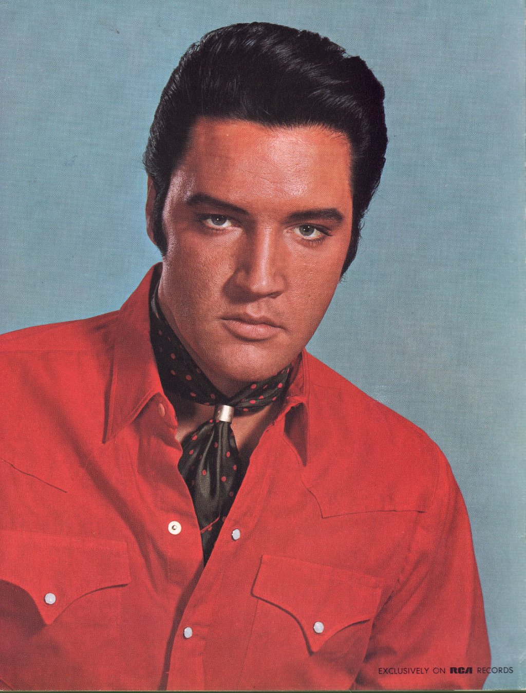 Elvis Presley - Worldwide 50 Gold Award Hits, Vol. 1 - Lp Box Set