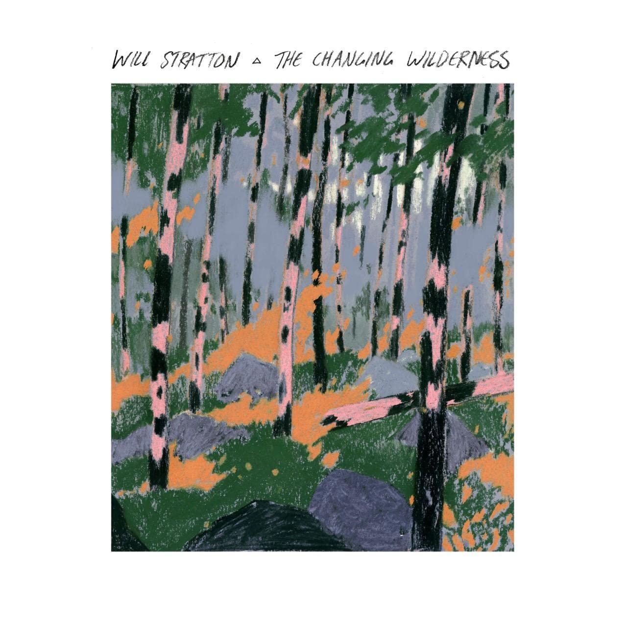 Will Stratton - Changing Wilderness - Lp