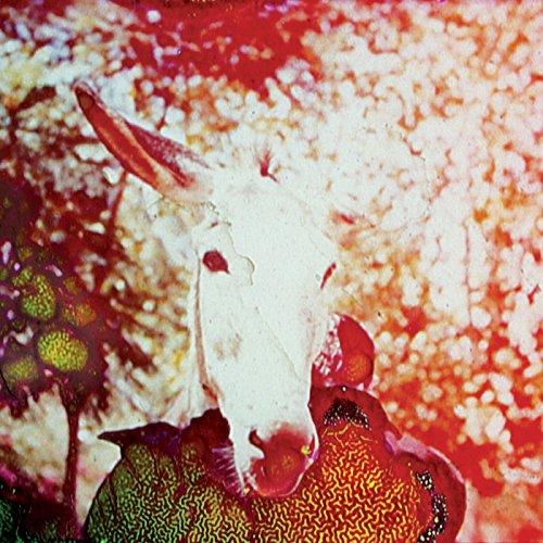 Jerusalem In My Heart - If He Dies If If If If If If - Cd