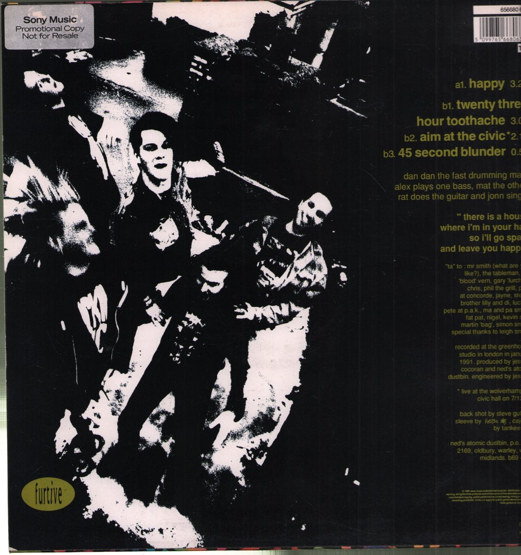 Ned's Atomic Dustbin - Happy - 12 Inch