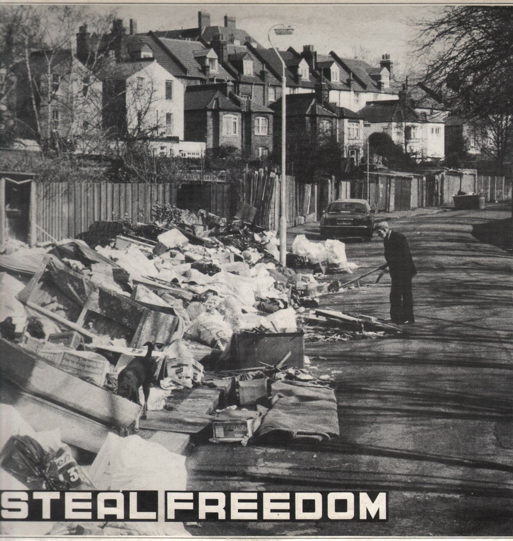 Steal Freedom - Echoes - 12 Inch
