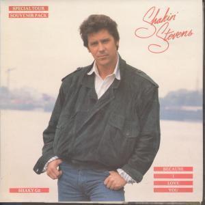 Shakin Stevens - Because I Love You - 7 Inch