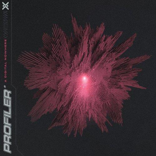 Profiler - A Digital Nowhere - Lp