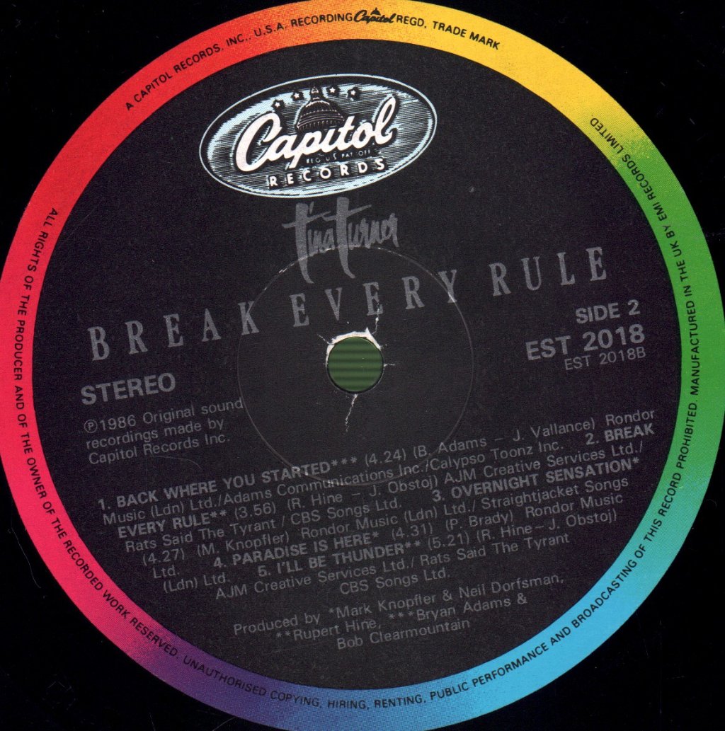 Tina Turner - Break Every Rule - Lp