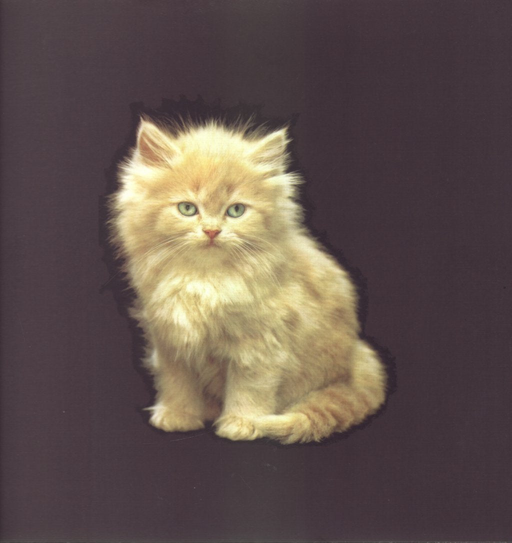 Misty Dixon - Are You Lost? EP - 12 Inch