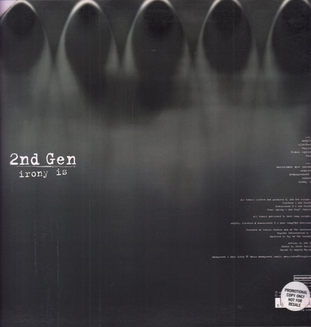 2Nd Gen - Irony Is - Lp