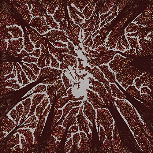 Trash Boat - Crown Shyness - Cd