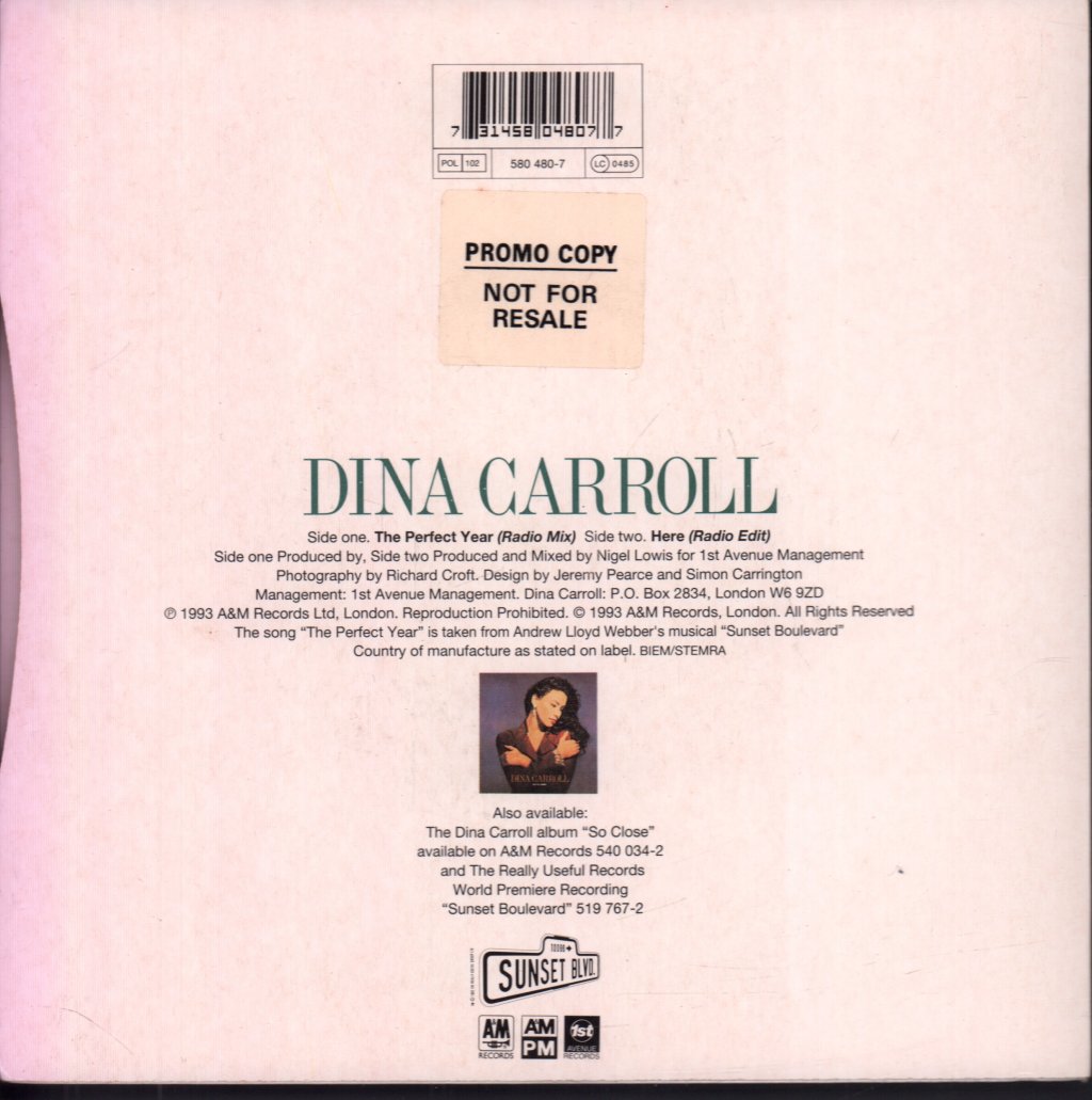 Dina Carroll - Perfect Year - 7 Inch