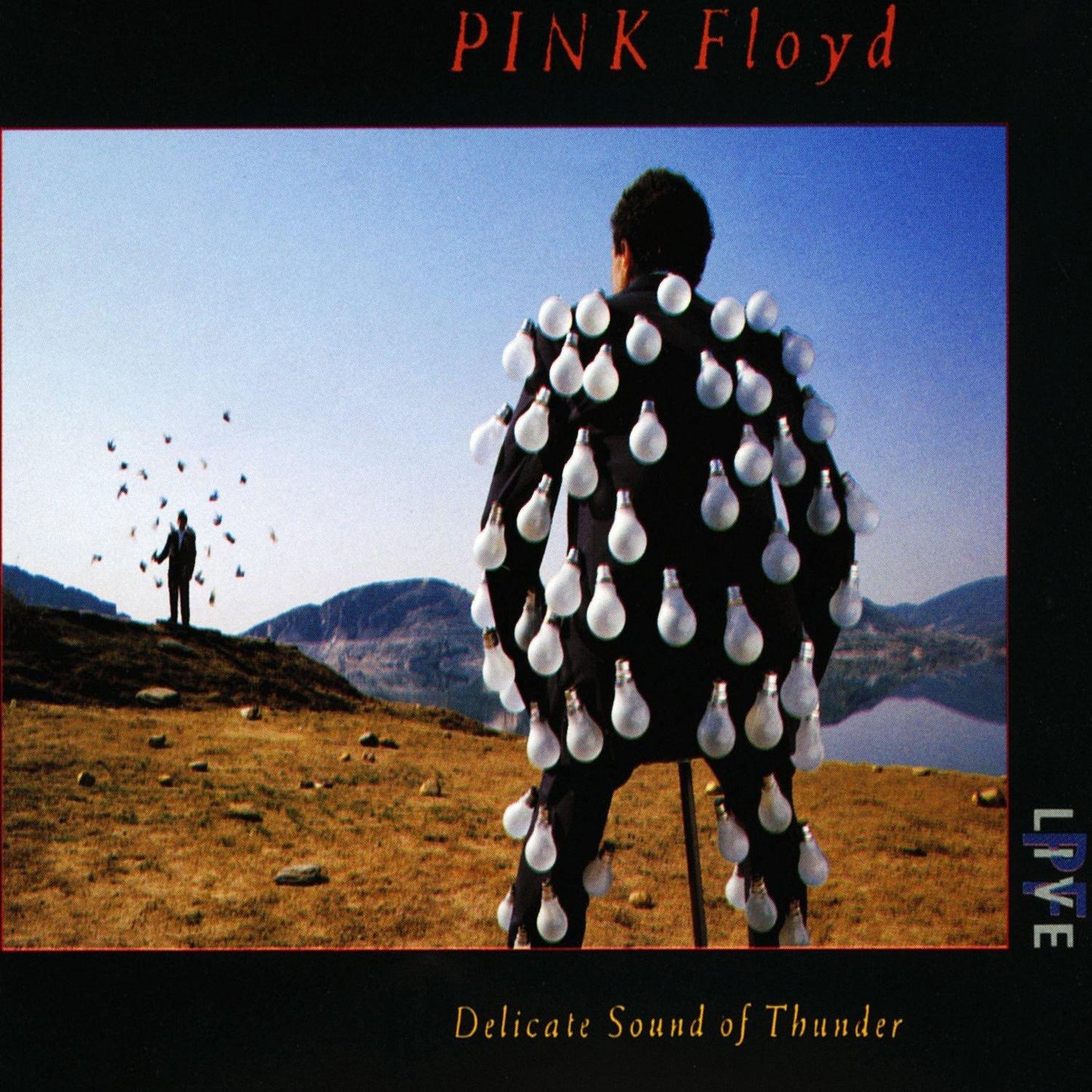 Pink Floyd - Delicate Sound of Thunder - Double Cd