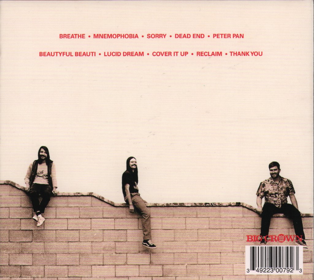 Brainstory - Buck - Cd