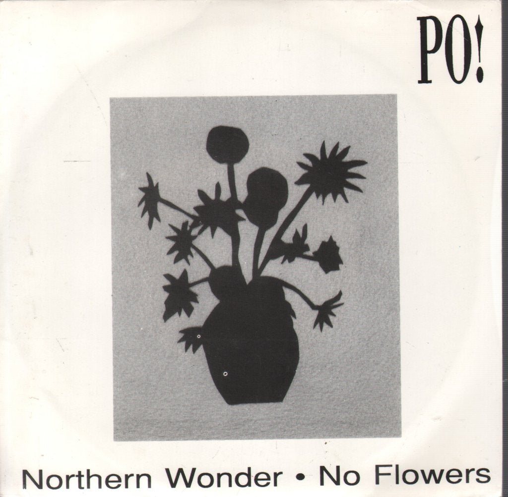 Po! - Northern Wonder / No Flowers - 7 Inch
