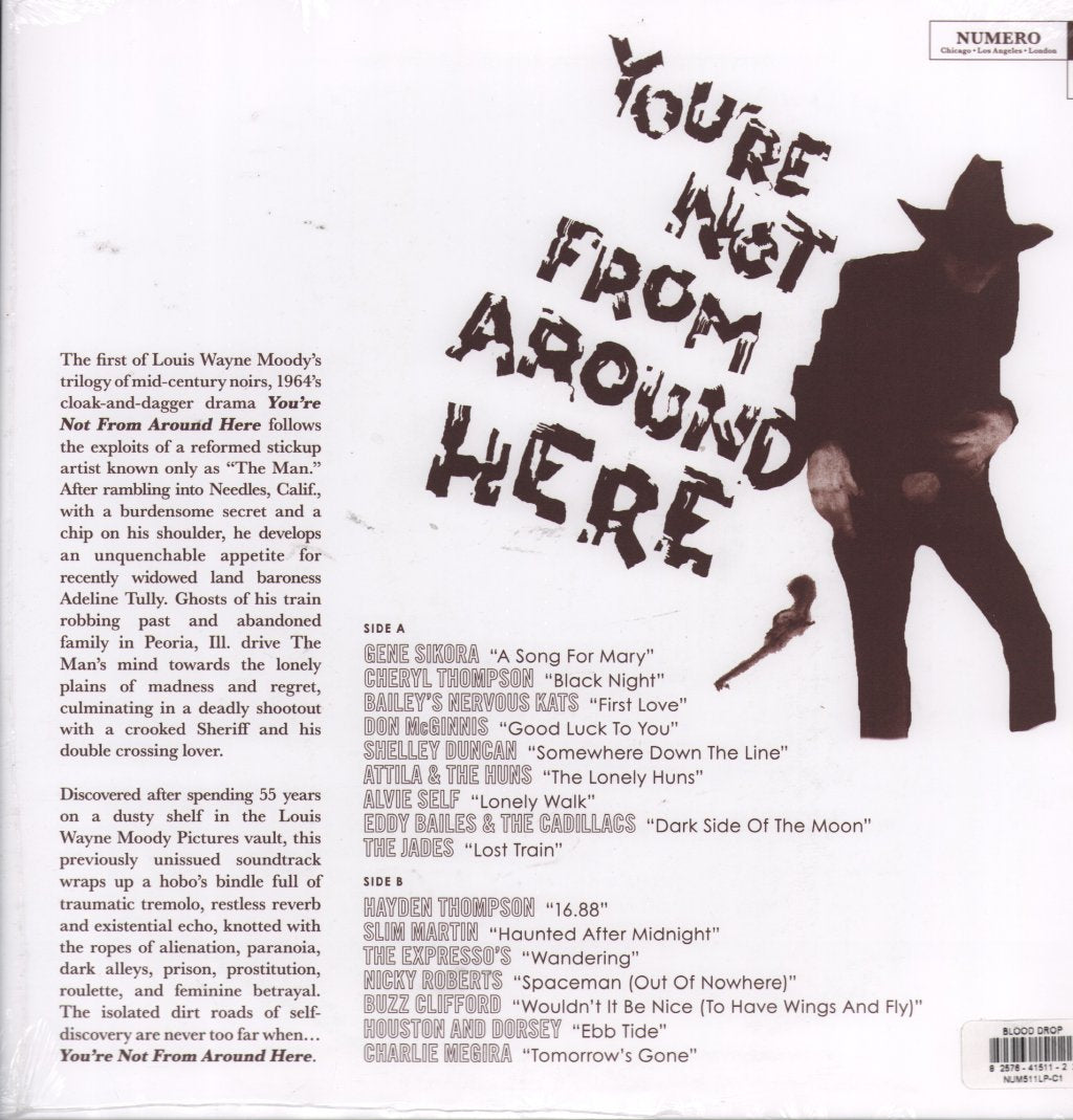 Various Artists - You're Not From Around Here - Lp