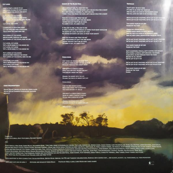 Bearsuit - Phantom Forest - Lp