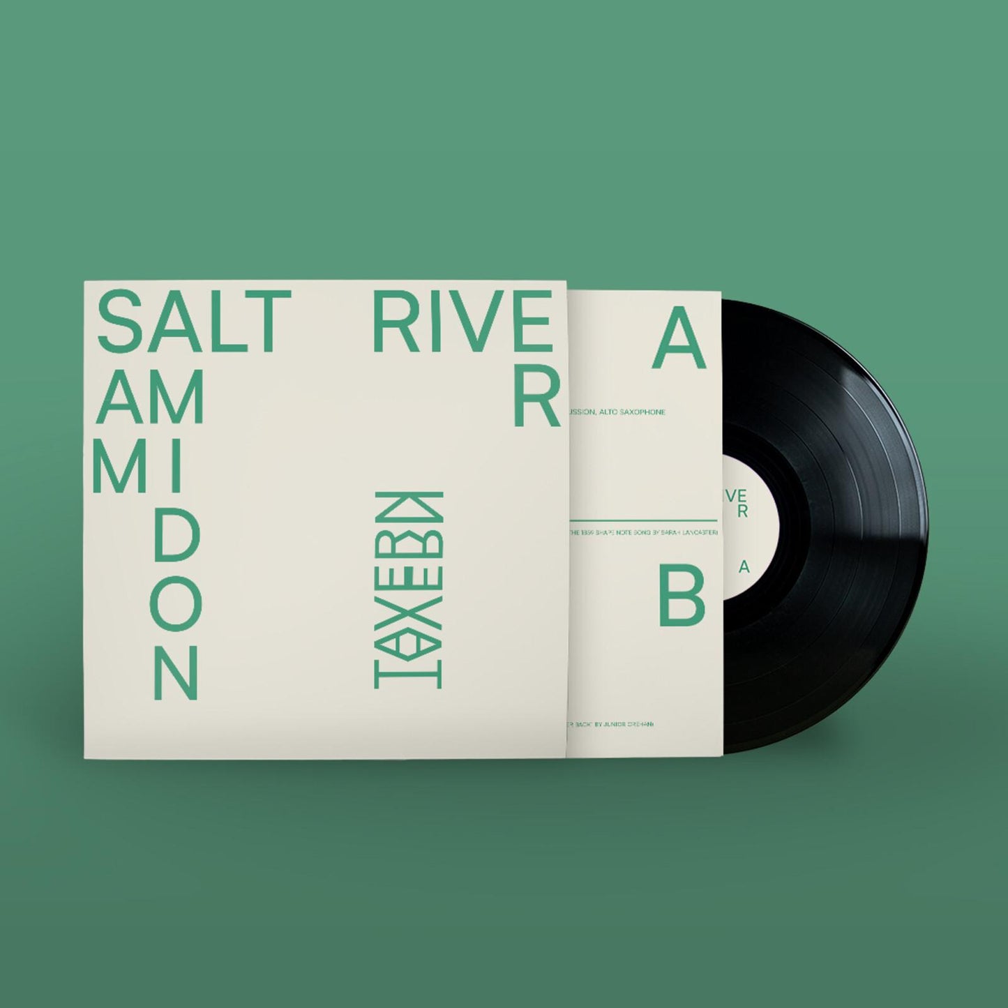 Sam Amidon - Salt River - Lp