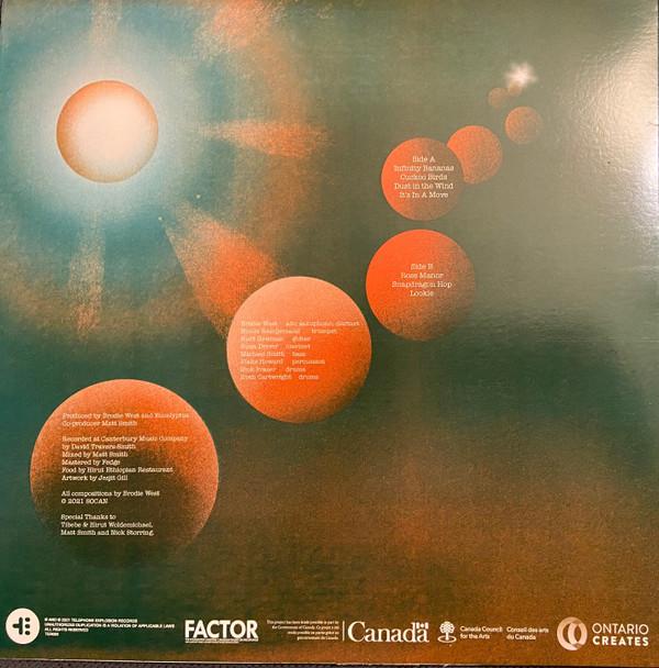 Eucalyptus - Moves - Lp