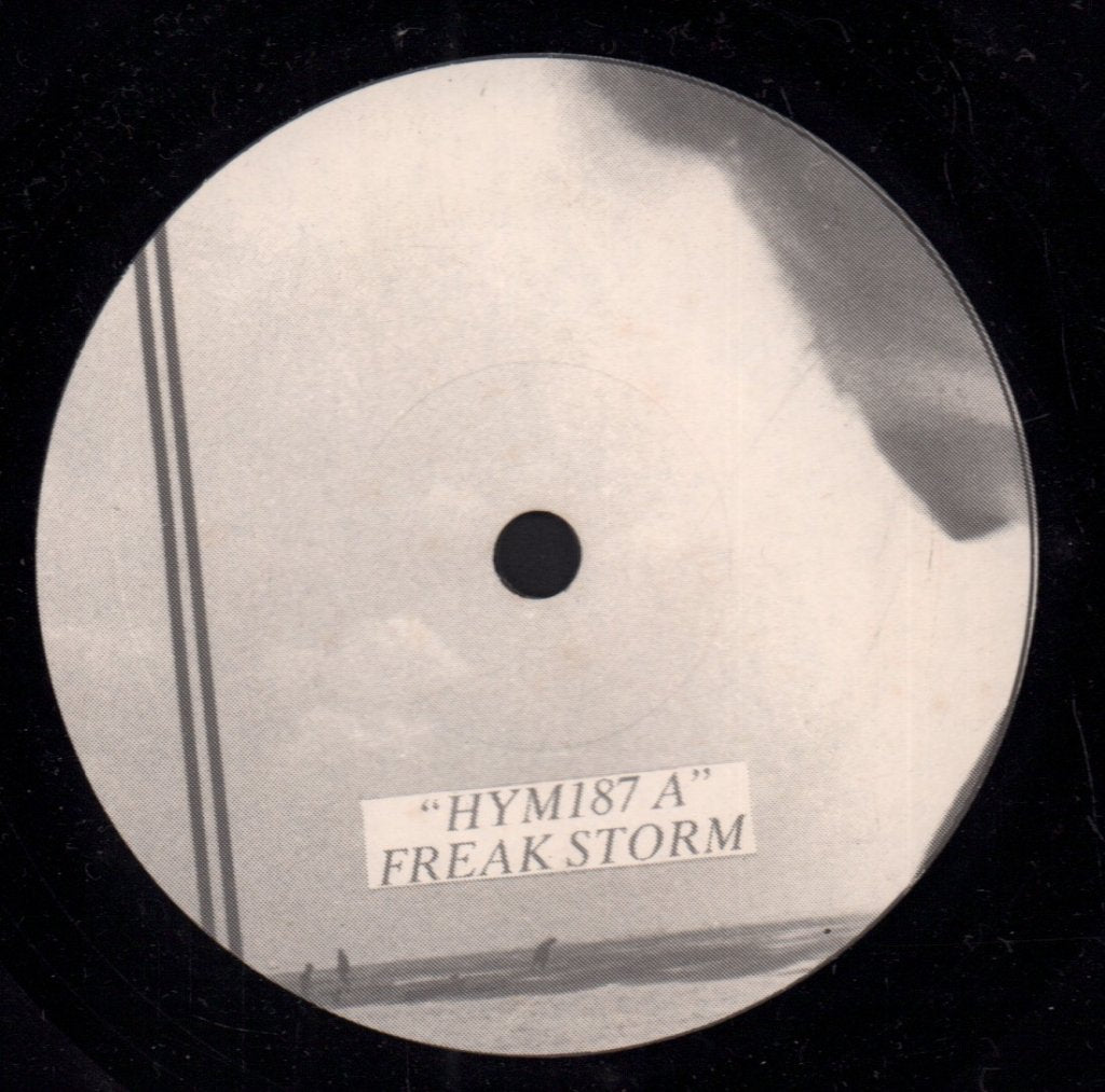 Hell fire Sermons - Freak Storm - 7 Inch
