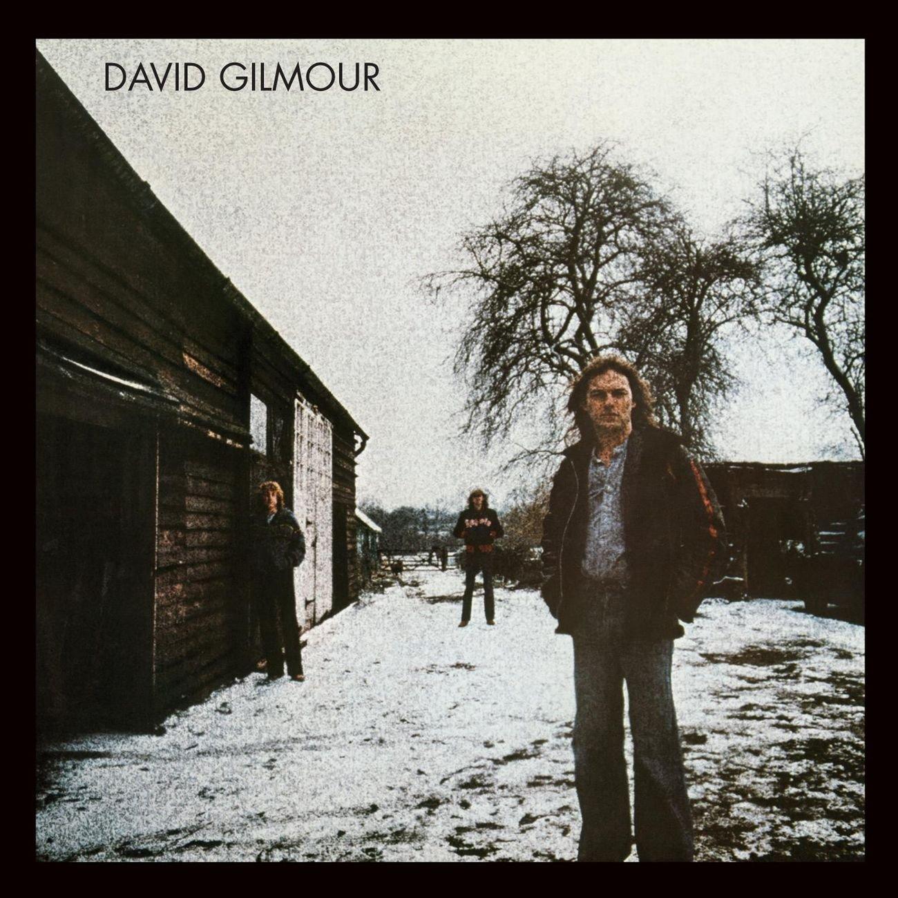David Gilmour - David Gilmour - Cd