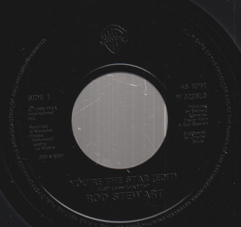 Rod Stewart - You're The Star - 7 Inch