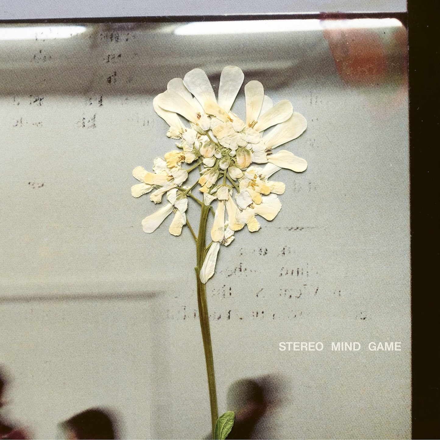 Daughter - Stereo Mind Game - Cd