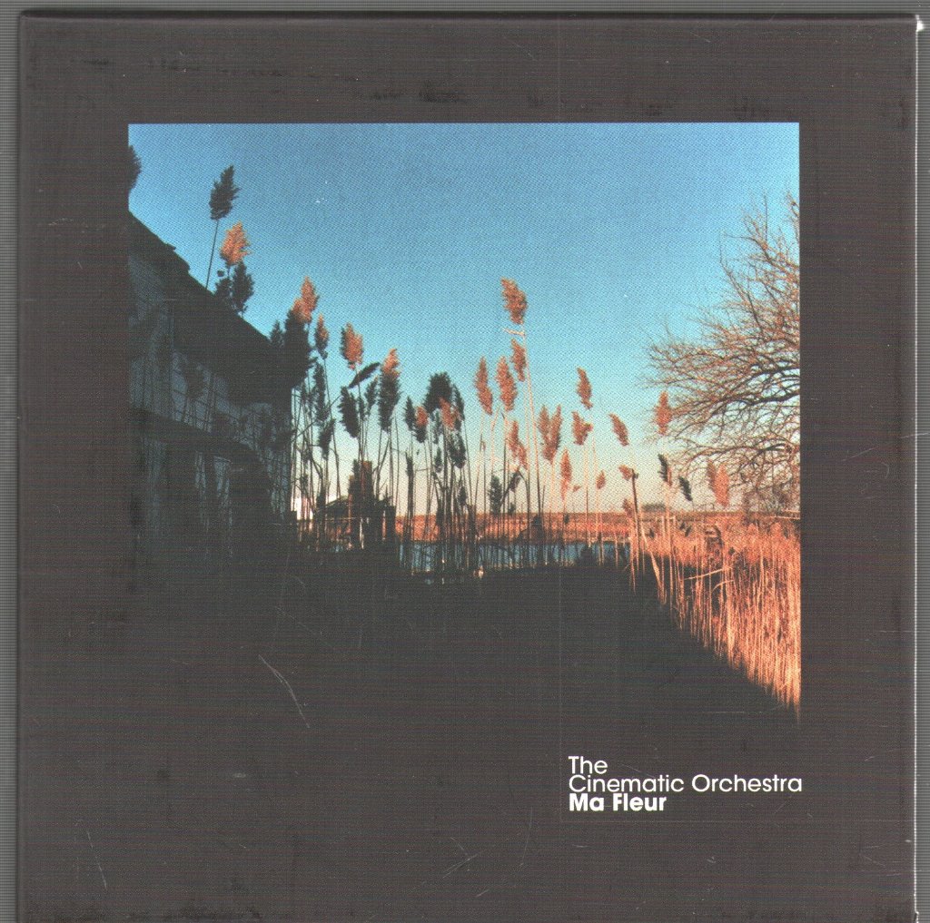 Cinematic Orchestra - Ma Fleur - Cd