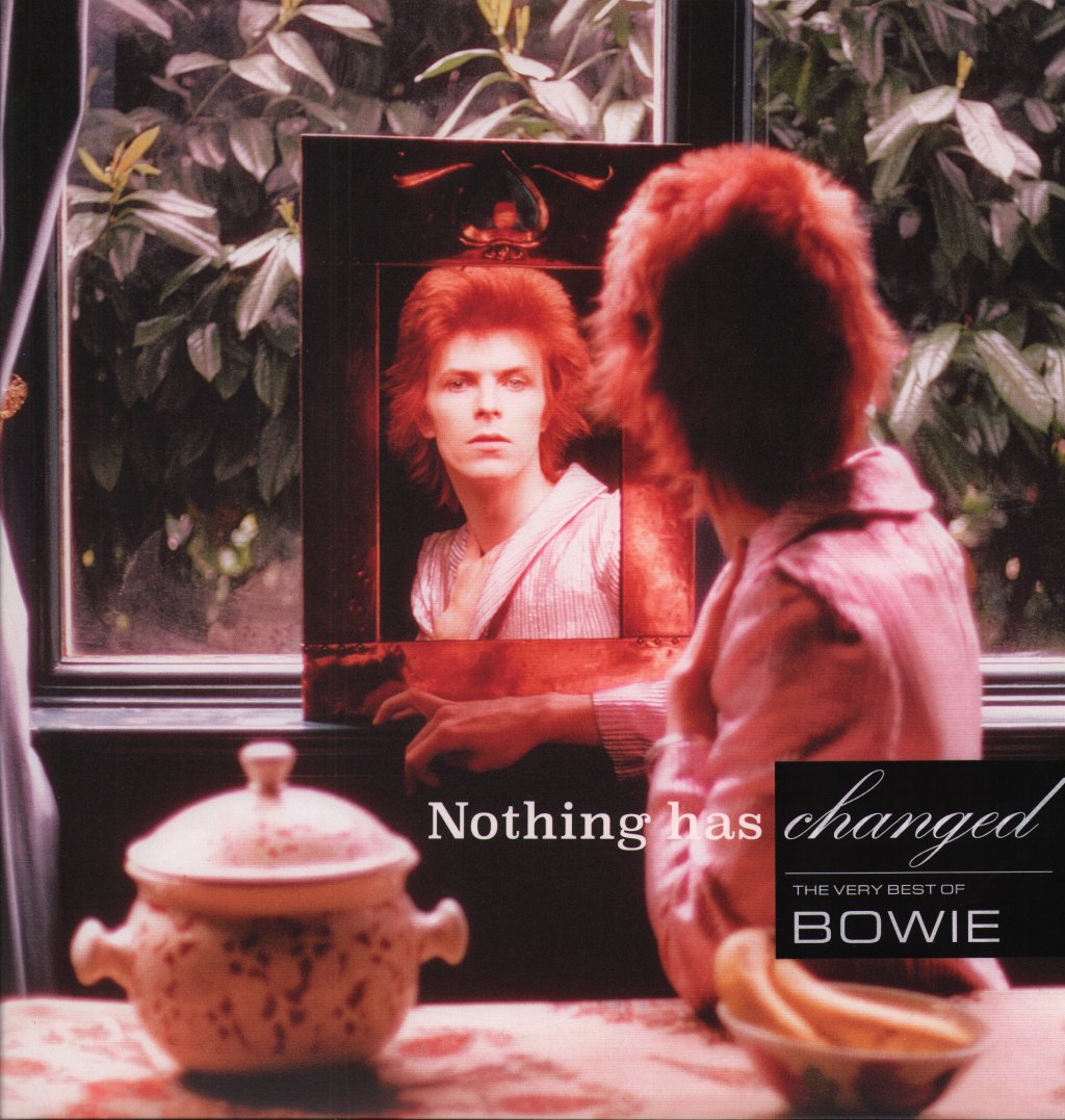 David Bowie - Nothing Has Changed - Double Lp
