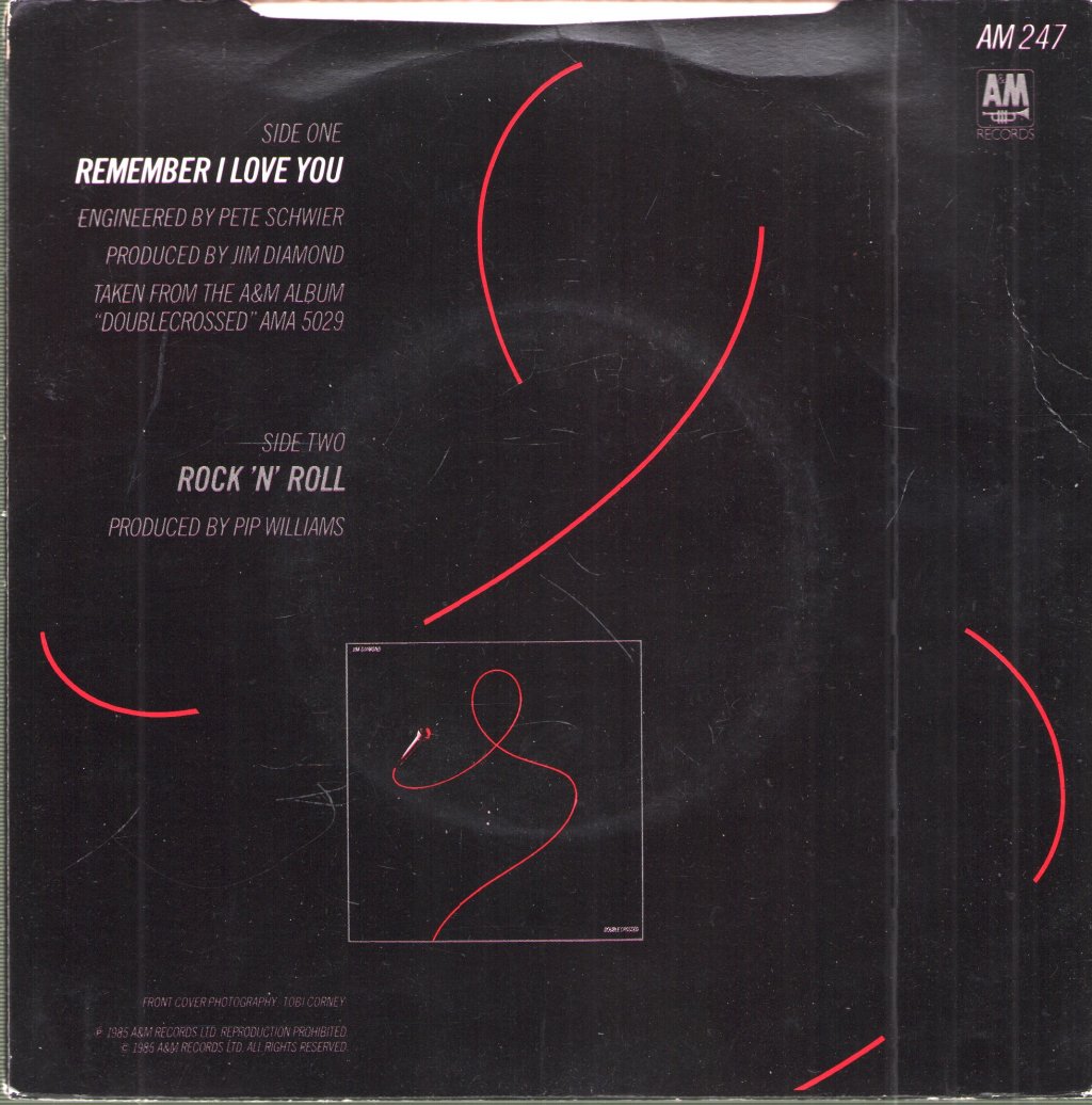 Jim Diamond - Remember I Love You - 7 Inch
