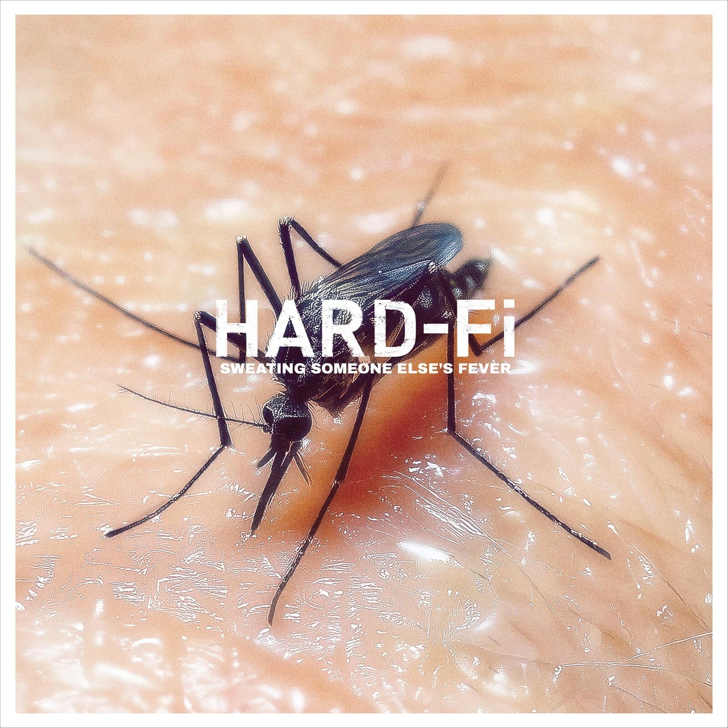 Hard-Fi - Sweating Someone Else's Fever - Lp