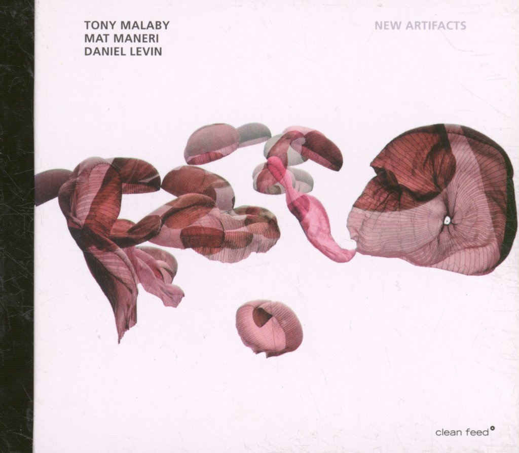 Tony Malaby, Mat Maneri, Daniel Levin - New Artifacts - Cd
